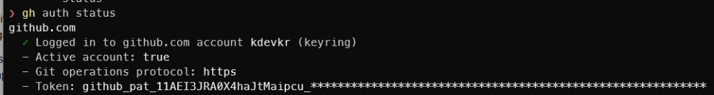 gh auth status