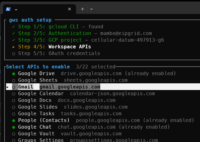gws auth setup API 활성화